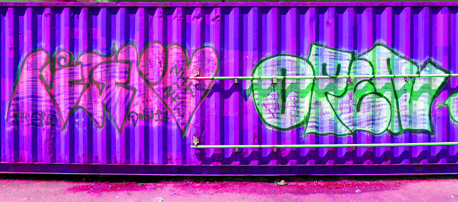 Graffiti 10 Photograph by Laurie Tsemak