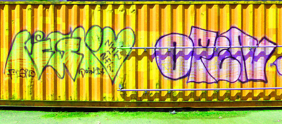 Graffiti 12 Photograph by Laurie Tsemak