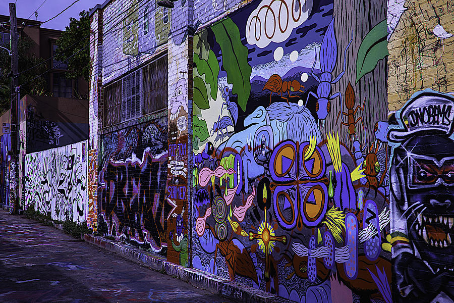 San Francisco Photograph - Graffiti Alley San Francisco by Garry Gay
