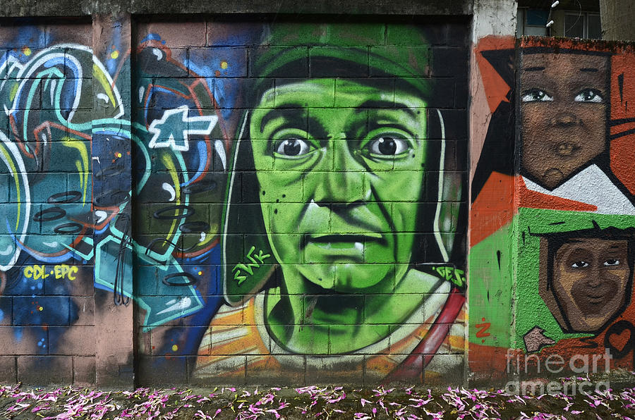 Graffiti Art Curitiba Brazil 6 Photograph by Bob Christopher