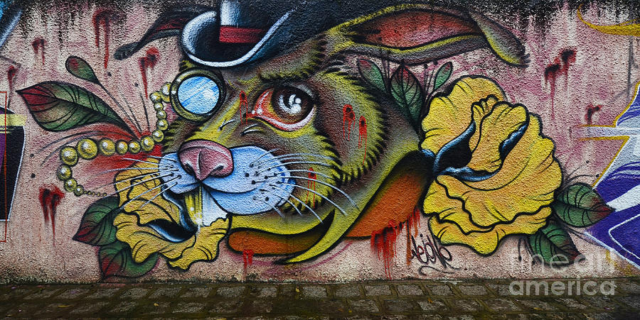 Graffiti Art Curitiba Brazil 8 Photograph by Bob Christopher - Pixels