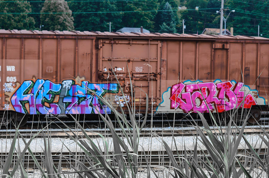 Graffiti Art Photograph by Jim Wilcox - Pixels