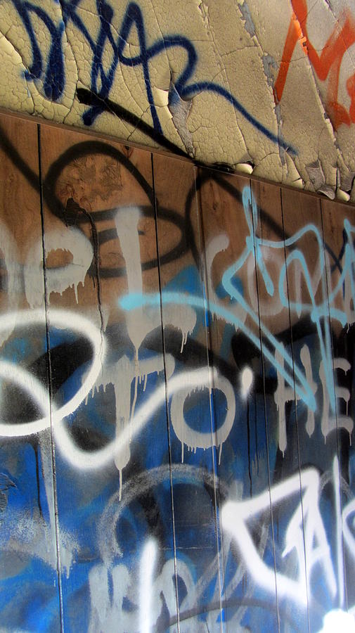 Graffiti Close Up 1 Photograph by Anita Burgermeister