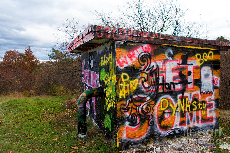 Pittsburgh Photograph - Graffiti Covered Building in Field by Amy Cicconi