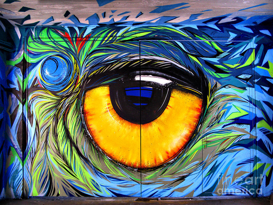Eye Graffiti  Photograph by Daliana Pacuraru