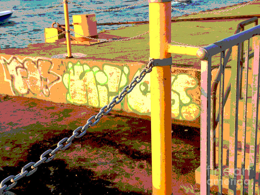 Graffiti Dock Photograph by Anne Cameron Cutri