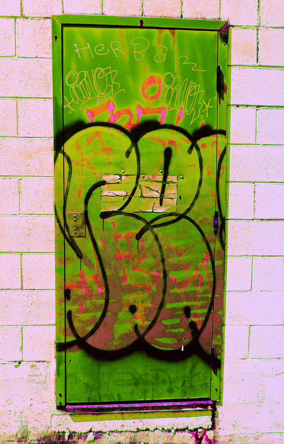 Graffiti Door 2 Photograph by Laurie Tsemak