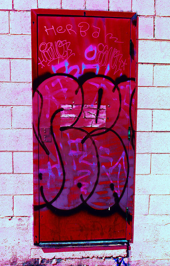 Graffiti Door 3 Photograph by Laurie Tsemak