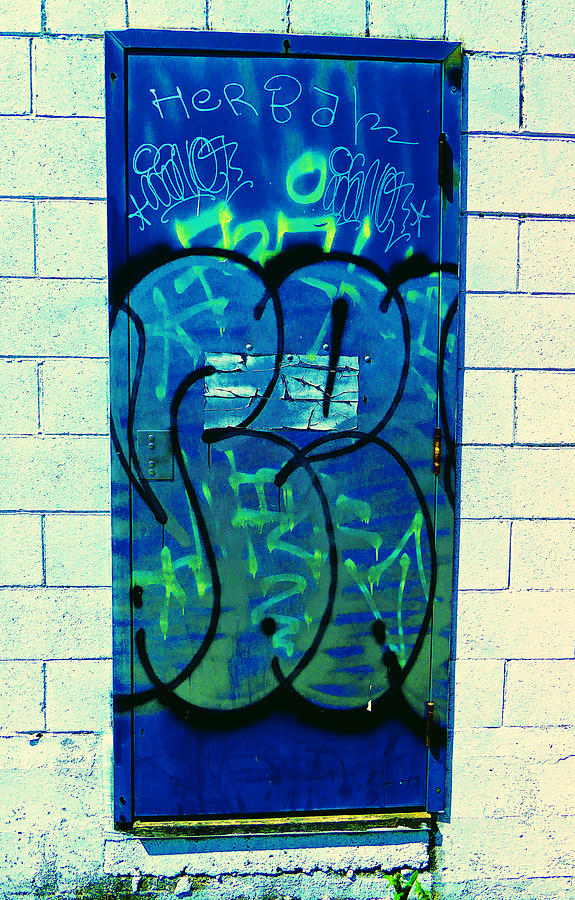 Graffiti Door Photograph by Laurie Tsemak