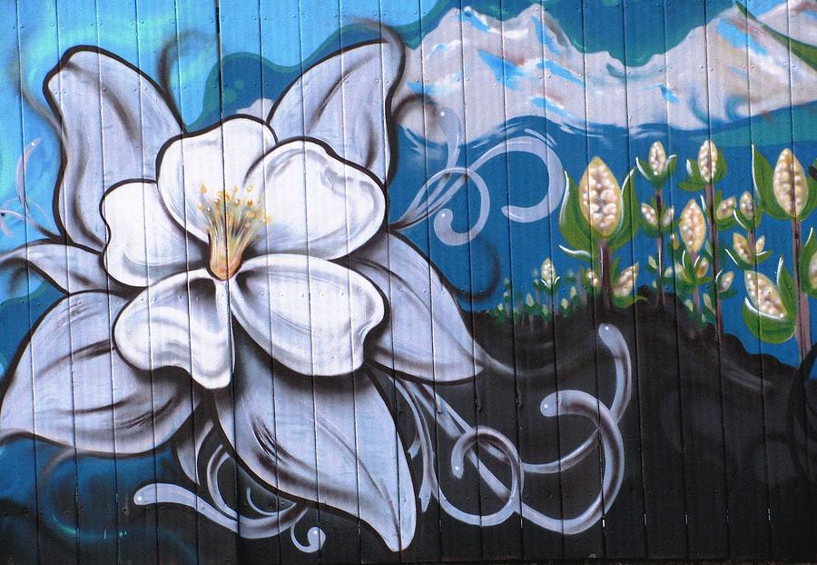 Graffiti - Flora and Mountians Photograph by Steven Parker