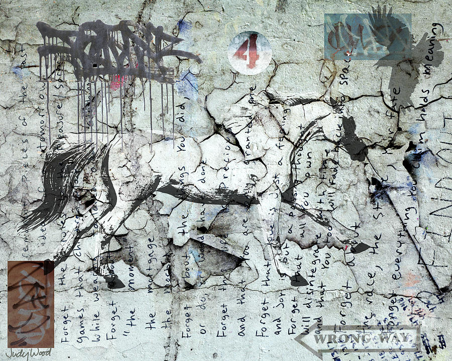 Sign Digital Art - Graffiti Horse 4 by Judy Wood