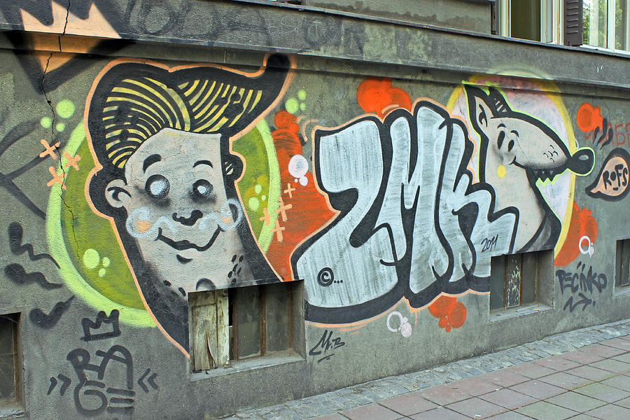 Graffiti in Belgrade Photograph by Tony Murtagh