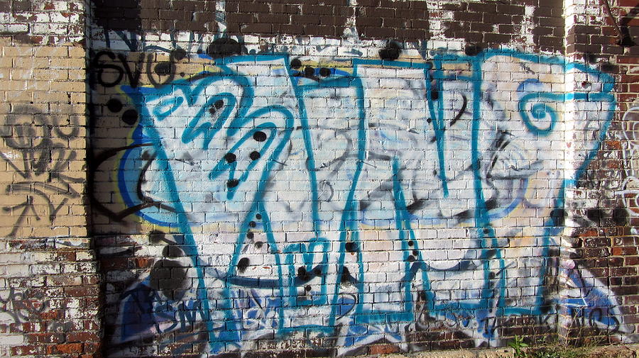 Graffiti in Blue and White Photograph by Anita Burgermeister