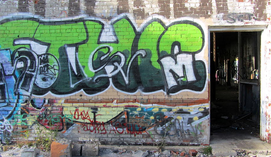 Graffiti in Green and Door Photograph by Anita Burgermeister