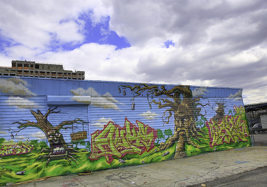 Graffiti in New York City Digital Art by E Osmanoglu