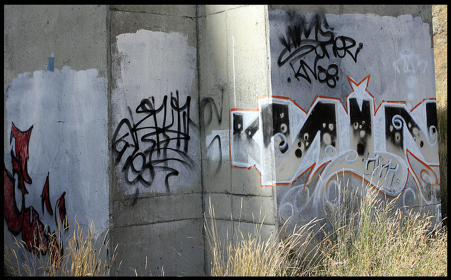Graffiti Kansas City 3 Photograph by Ellen Tully