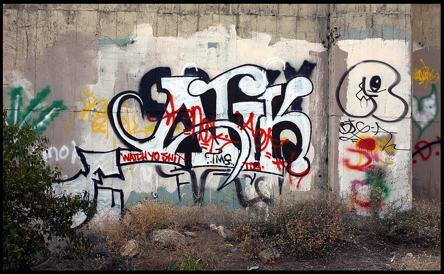 Graffiti Kansas City 4 Photograph by Ellen Tully
