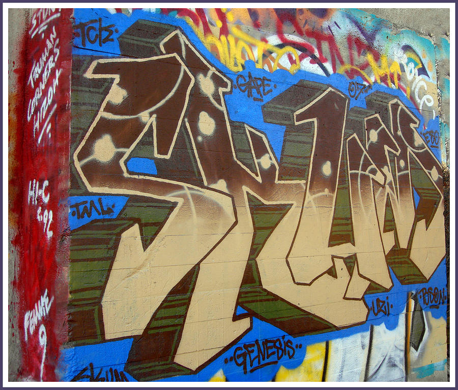 Graffiti Kansas City 5 Photograph by Ellen Tully