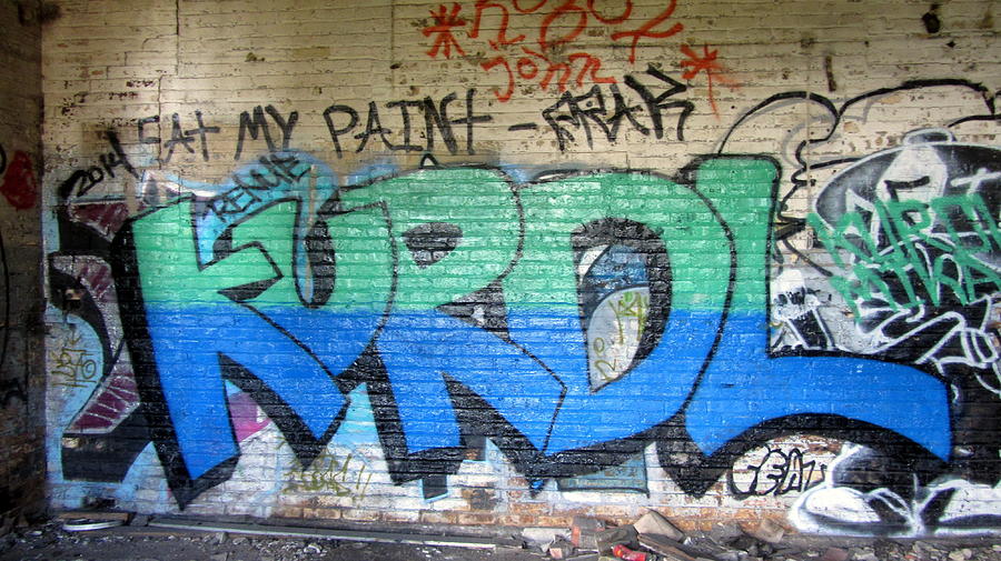 Graffiti KURDL 2 Photograph by Anita Burgermeister