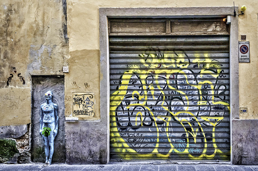 Graffiti Photograph by Maria Coulson