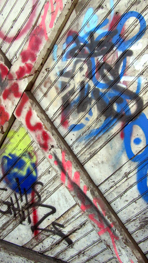 Graffiti on Wooden Door Photograph by Anita Burgermeister