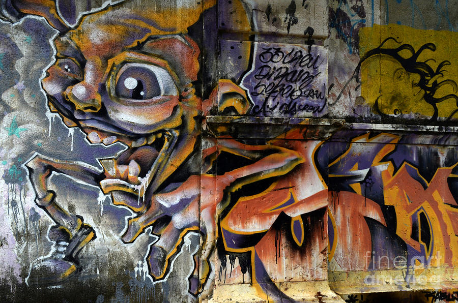 Graffiti Recife Brazil 11 Photograph by Bob Christopher