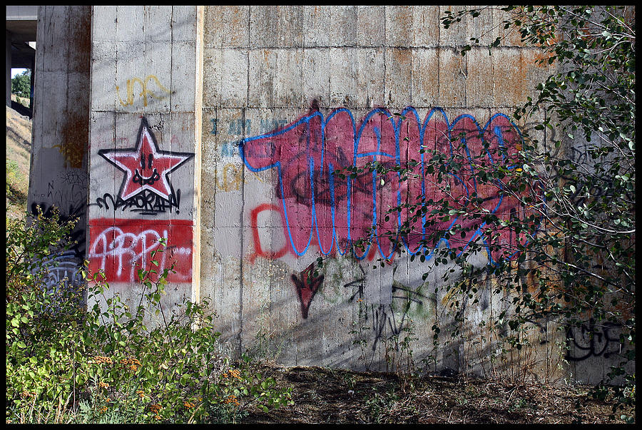 Graffiti Spokane 5 Photograph by Ellen Tully