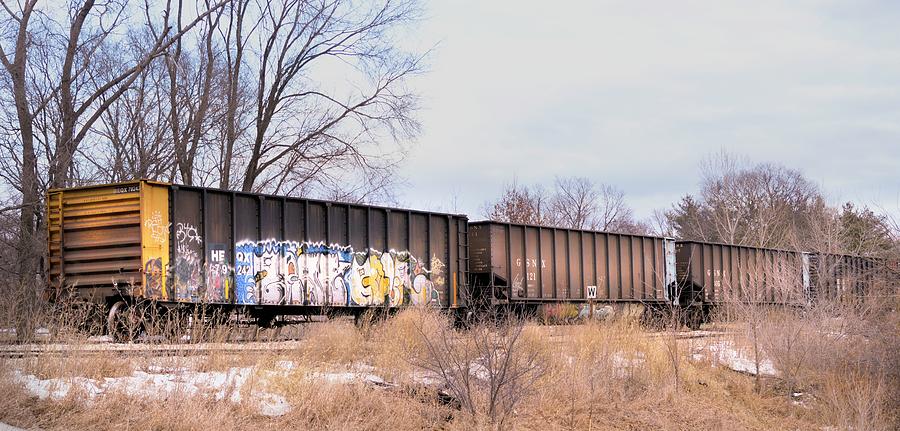 Graffiti Train Photograph by Bonfire Photography