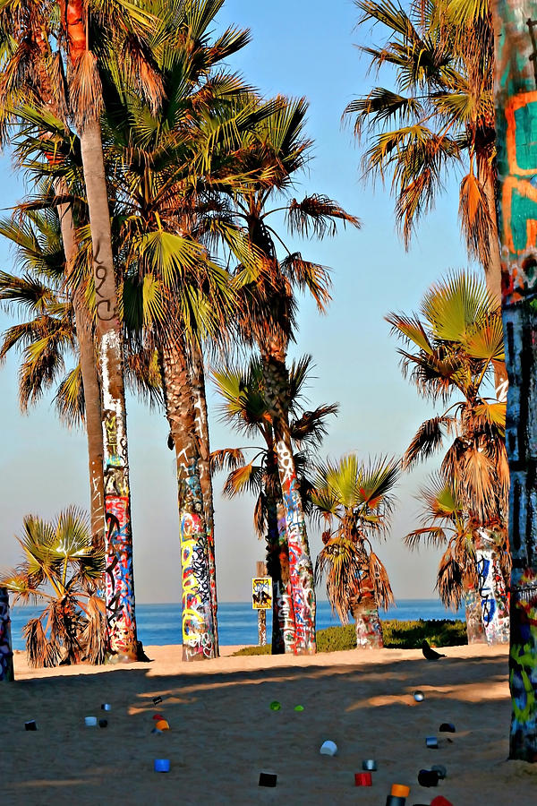 Graffiti Trees Photograph by Art Block Collections