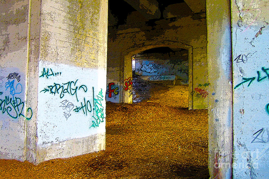 Graffiti Under the Bridge Photograph by Nina Silver
