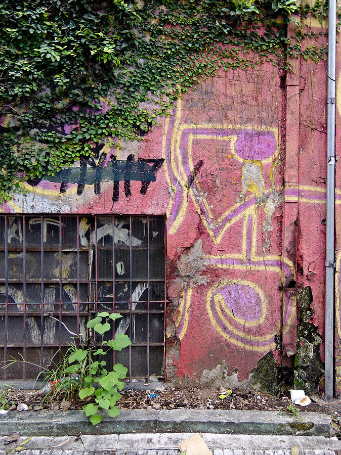 Graffiti Window Sao Paulo Photograph by Julie Niemela