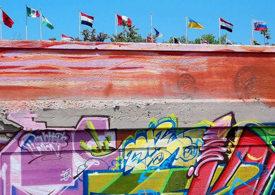 Graffiti with Flags Photograph by Anne Cameron Cutri