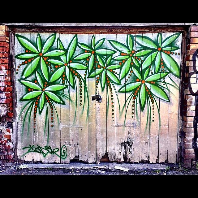Plants Photograph - Grafitti #cardiff #graffiti #spray by Gareth Thompson