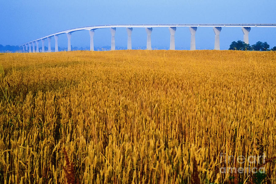 Grain and Route 4 Bridge Photograph by Thomas R Fletcher