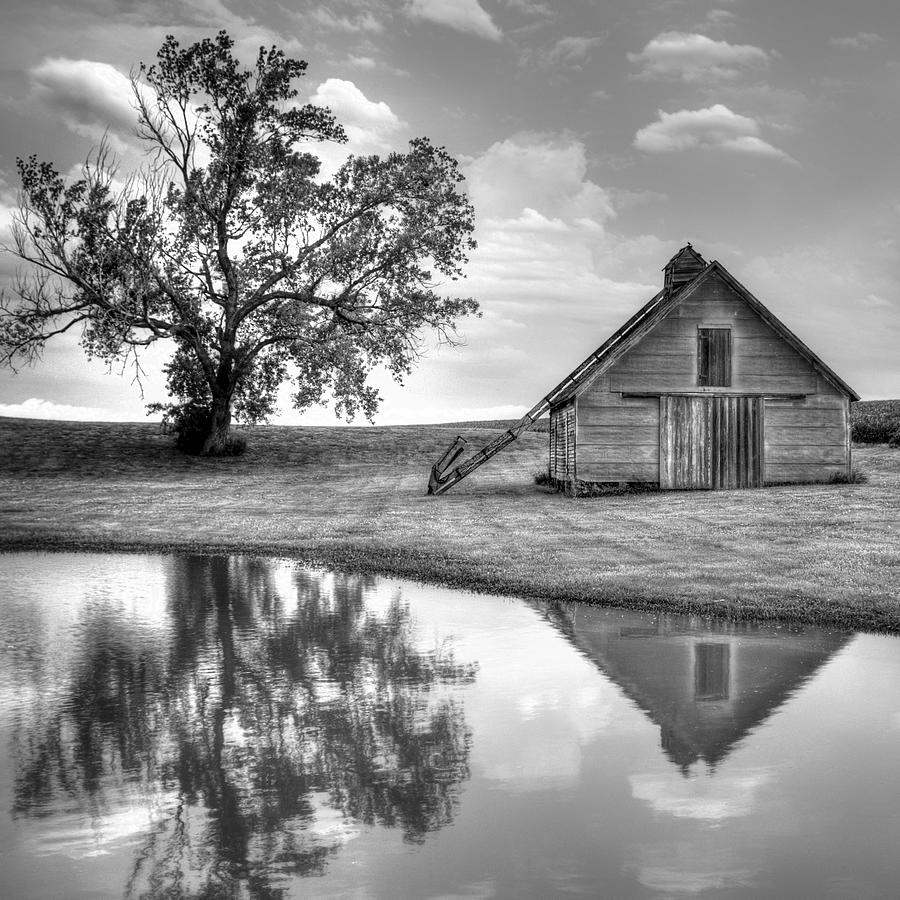 Tree Photograph - Grain Barn - Lone Tree - Square by Nikolyn McDonald