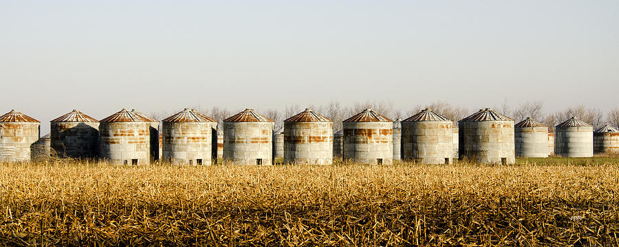 Farm Photograph - Grain Bins in a field by James Blackwell JR