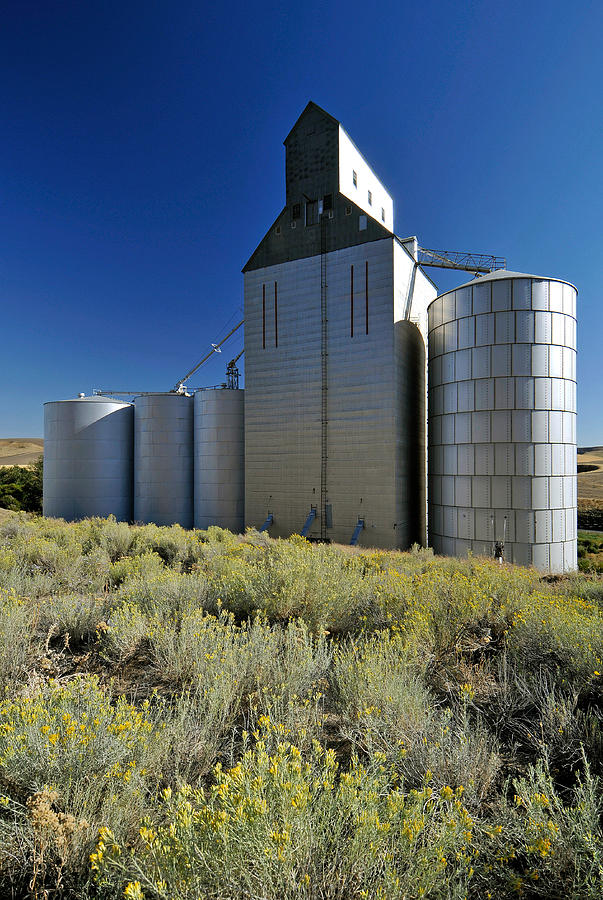 Grain Elevator Photograph by Theodore Clutter
