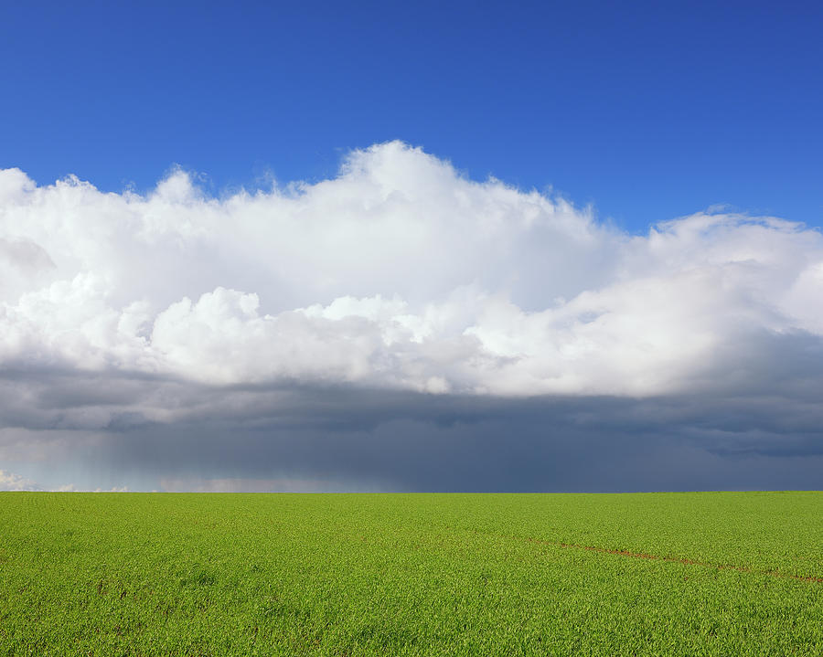 Grainfield With Stormy Sky Photograph by Raimund Linke Grainfield With Stormy Sky Photograph by Raimund Linke