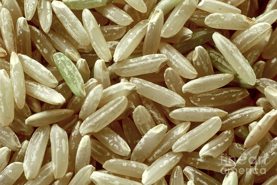 Grains Of Rice Photograph by William H. Mullins