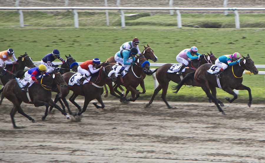 Sports Photograph - Gran Premio Nacional Horse Racing in Buenos Aries by Venetia Featherstone-Witty