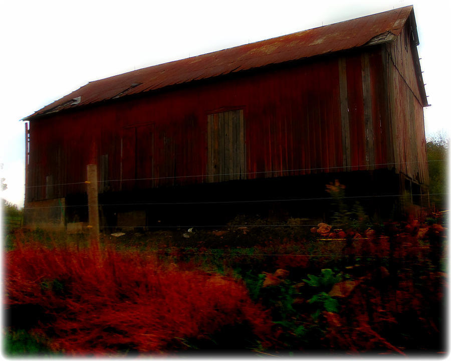 Barn Photograph - Country Side by Chanda Yoder