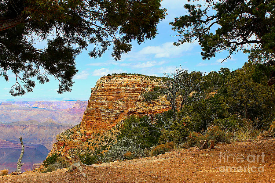 Grand Canyon - South Rim #1 Photograph by Barbara Zahno