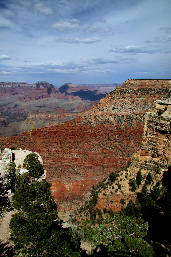Grand Canyon National Park Photograph - Grand Canyon 03 by Her Arts Desire