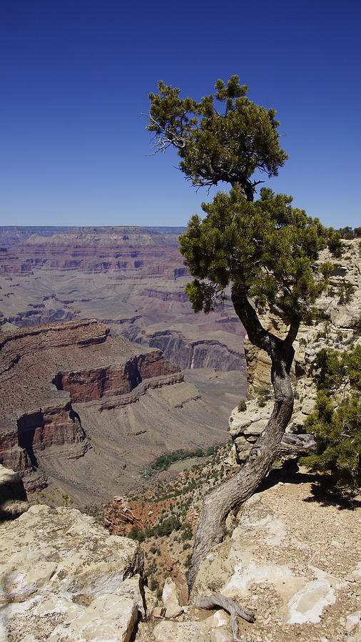 Grand Canyon 076 Photograph by Florine Duffield