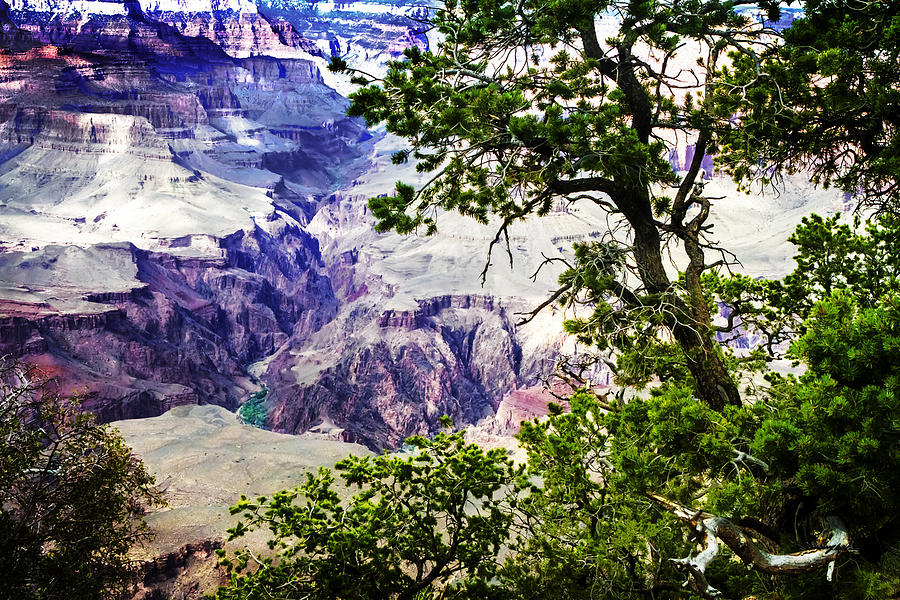 Grand Canyon -1 Photograph by Alan Hausenflock