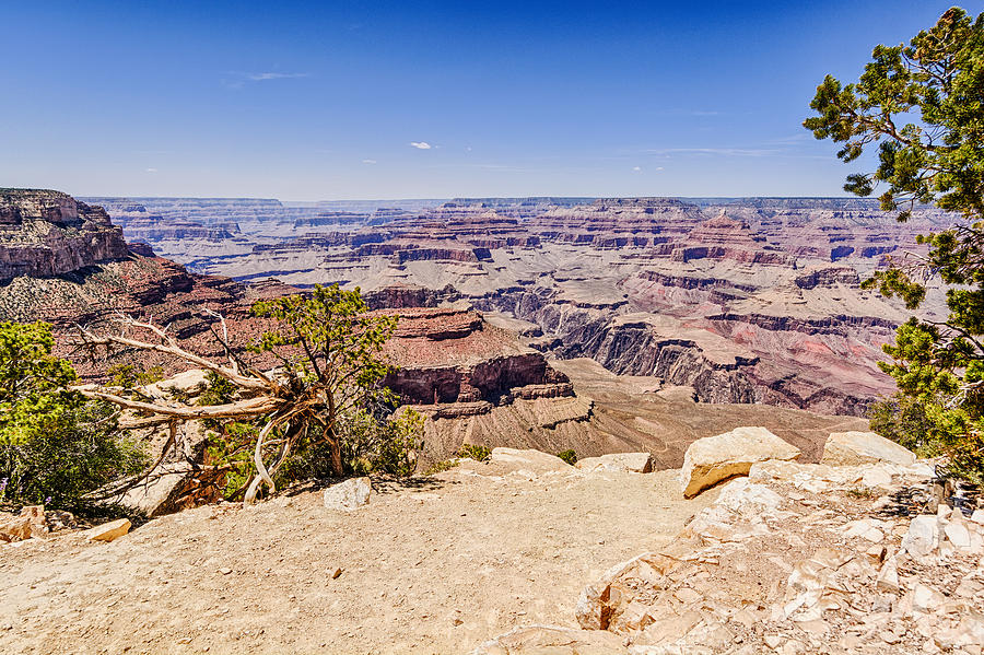 Grand Canyon 1 Photograph by Brett Engle