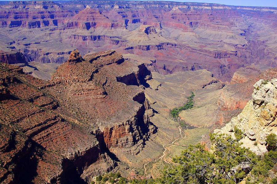 Grand Canyon 101 Photograph by Florine Duffield