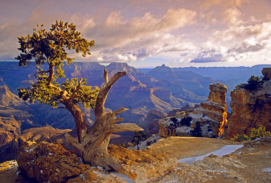 Grand Canyon 3 Photograph by Dennis Cox