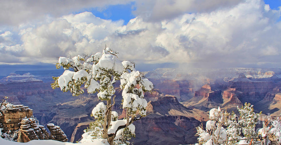 Grand Canyon 3944 Photograph by Jack Schultz
