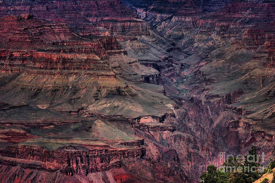 Grand Canyon 4 Photograph by Robert McCubbin